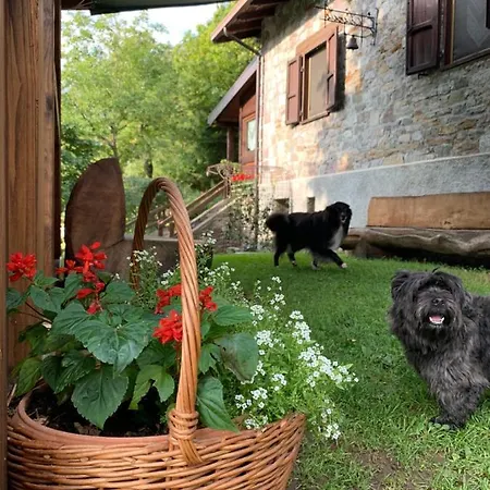 Il Viandante * Sellero